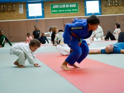 Judo en Famille 2022