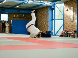 Judo en Famille 2022