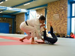 Judo en Famille 2022