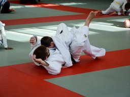 Judo en Famille 2022